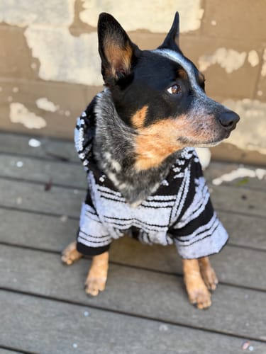 Customer photo review of Playa Poncho – Blue Anchovy