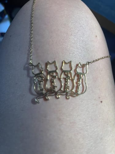 Customer photo review of Collar personalizado con nombre de gato