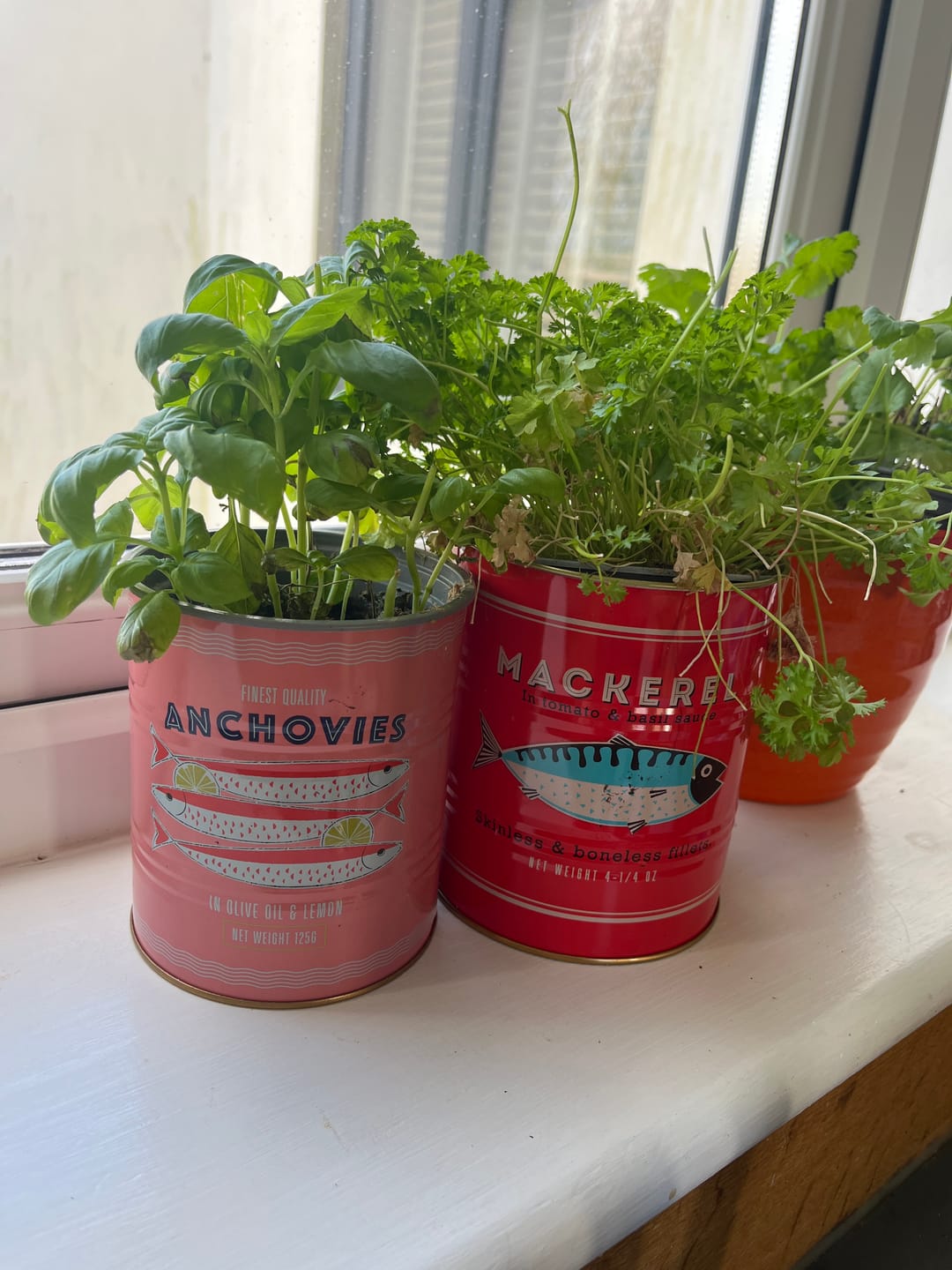 Customer photo review of Rustic Fish Storage Tins - Set of 2