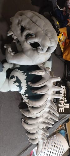 Customer photo review of BoneBuddies