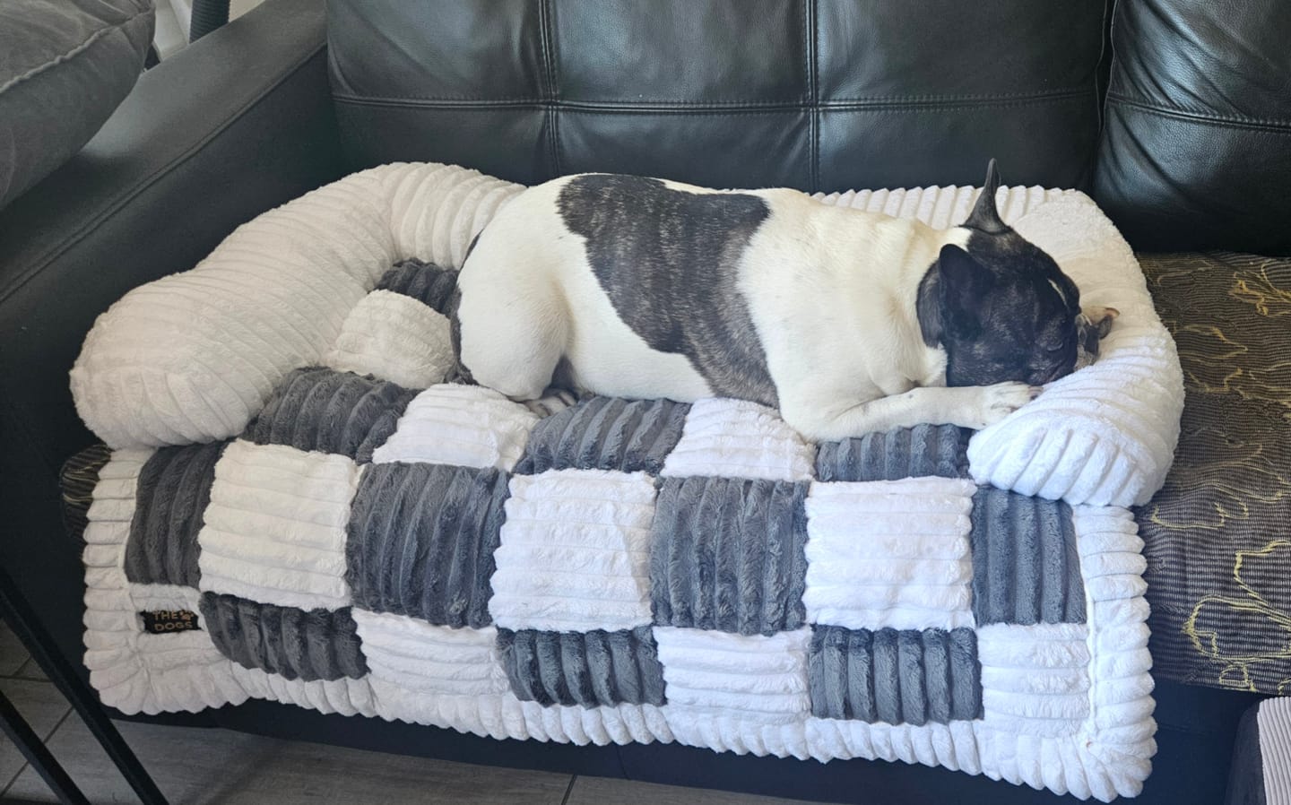 Customer photo review of Camita de Sillón Signature — Su lugar oficial en el sillón