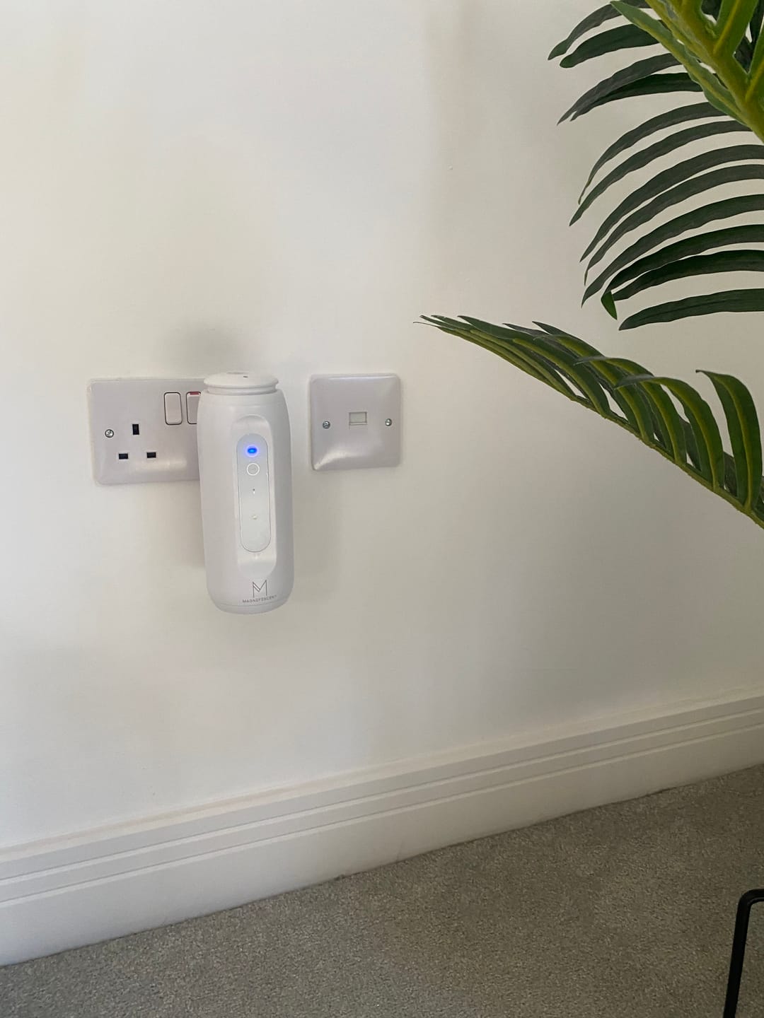 Customer photo review of ZenPlug – The Smart, Waterless Plug-In Diffuser