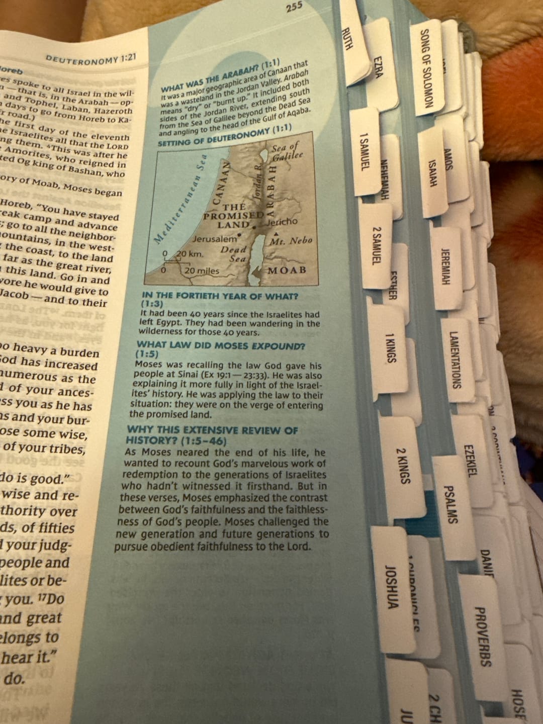 Customer photo review of Spiral Bible™ Tabs