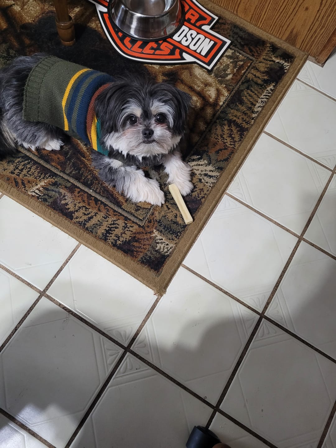 Customer photo review of Banana Yak Chews