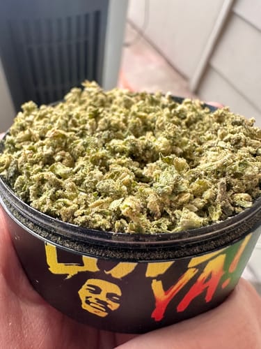 Customer photo review of Purple Punch Green House Flower 14g (Sativa)