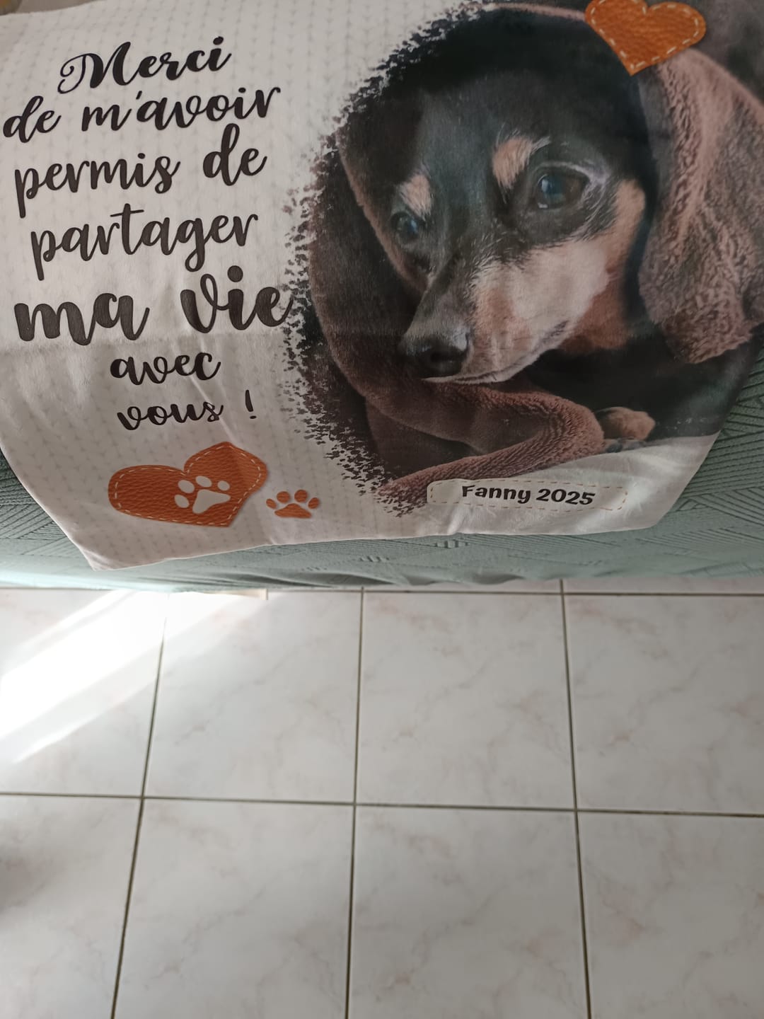 Customer photo review of Merci - Coussin personnalisé