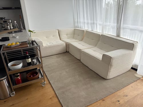 Customer photo review of Loungi