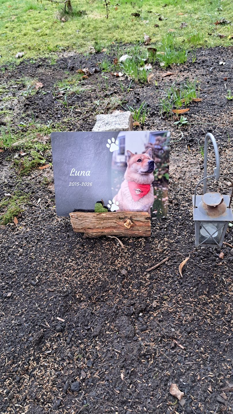 Customer photo review of Hunde Gedenktafel mit Foto & Spruch (UV- & Wetterfest)