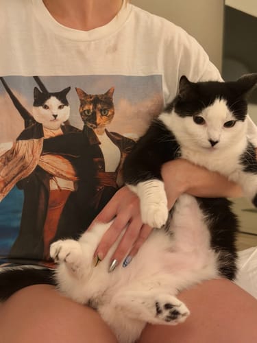 Customer photo review of 'Titanic Doggos' Personalized 2 Pet T-Shirt