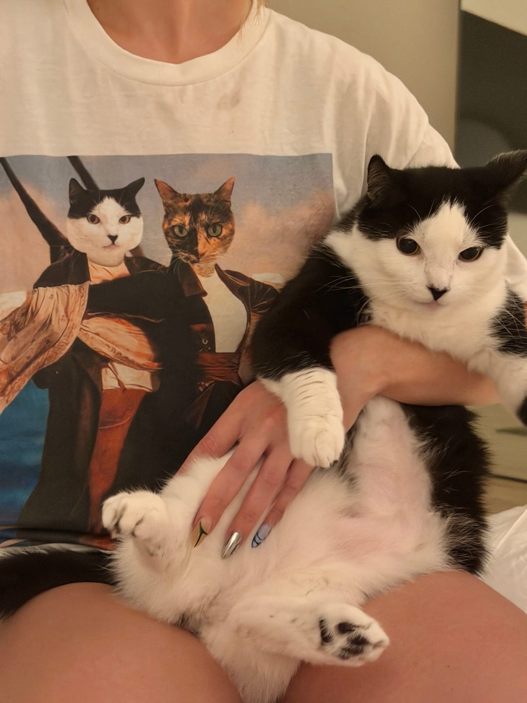 Customer photo review of 'Titanic Doggos' Personalized 2 Pet T-Shirt