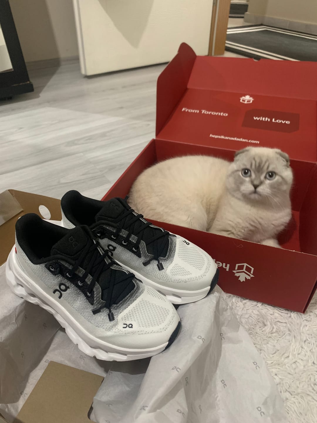 Customer photo review of ON Women's Cloudtilt Black/Ivory