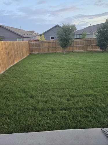 Customer photo review of Triad Select 3-Way Herbicide