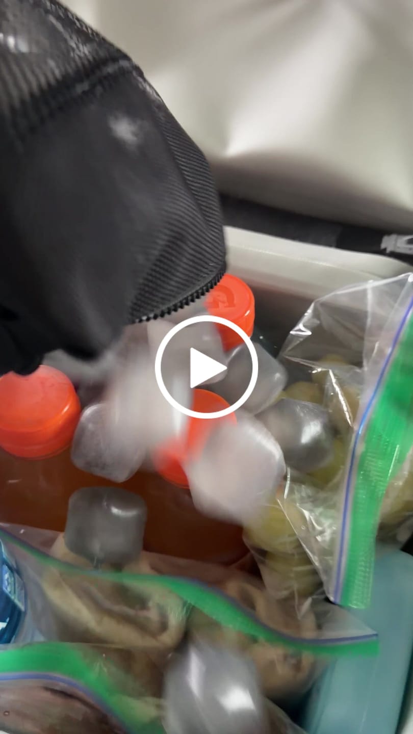 Customer video review of The Duo - (2 pack) Reusable Ice Cubes and Bag