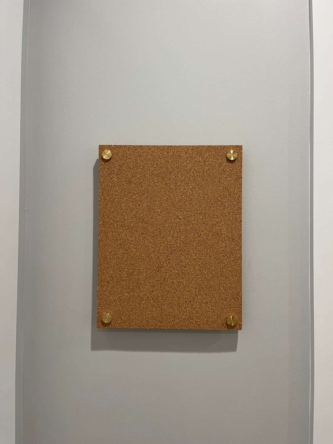 Customer photo review of Large Blank Corkboard