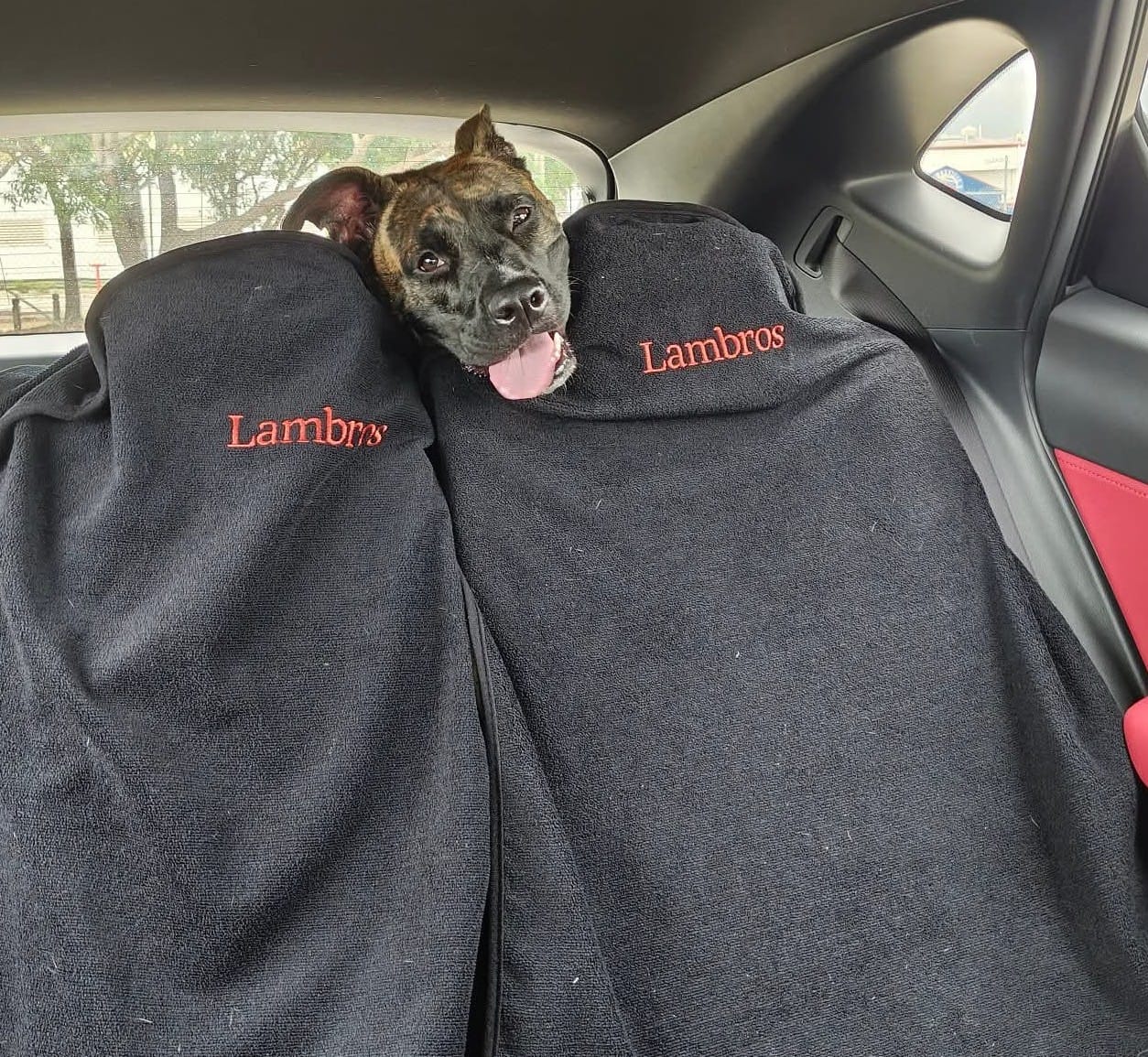 Customer photo review of Waterproof Car Seat Towel – Black | Towel Society
