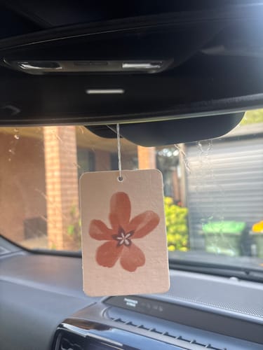 Customer photo review of Flower Town Air Freshener - Biarritz