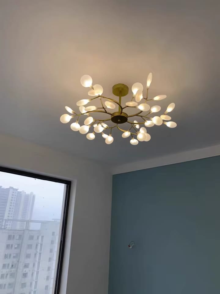 Customer photo review of MIREYA