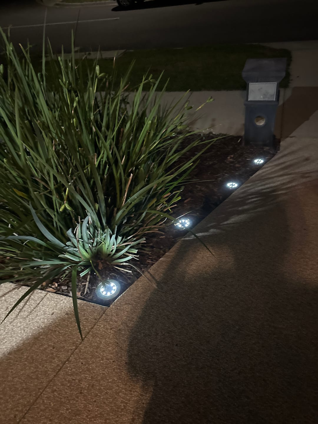 Customer photo review of GardenBrite™ Solar Ground Light Pack