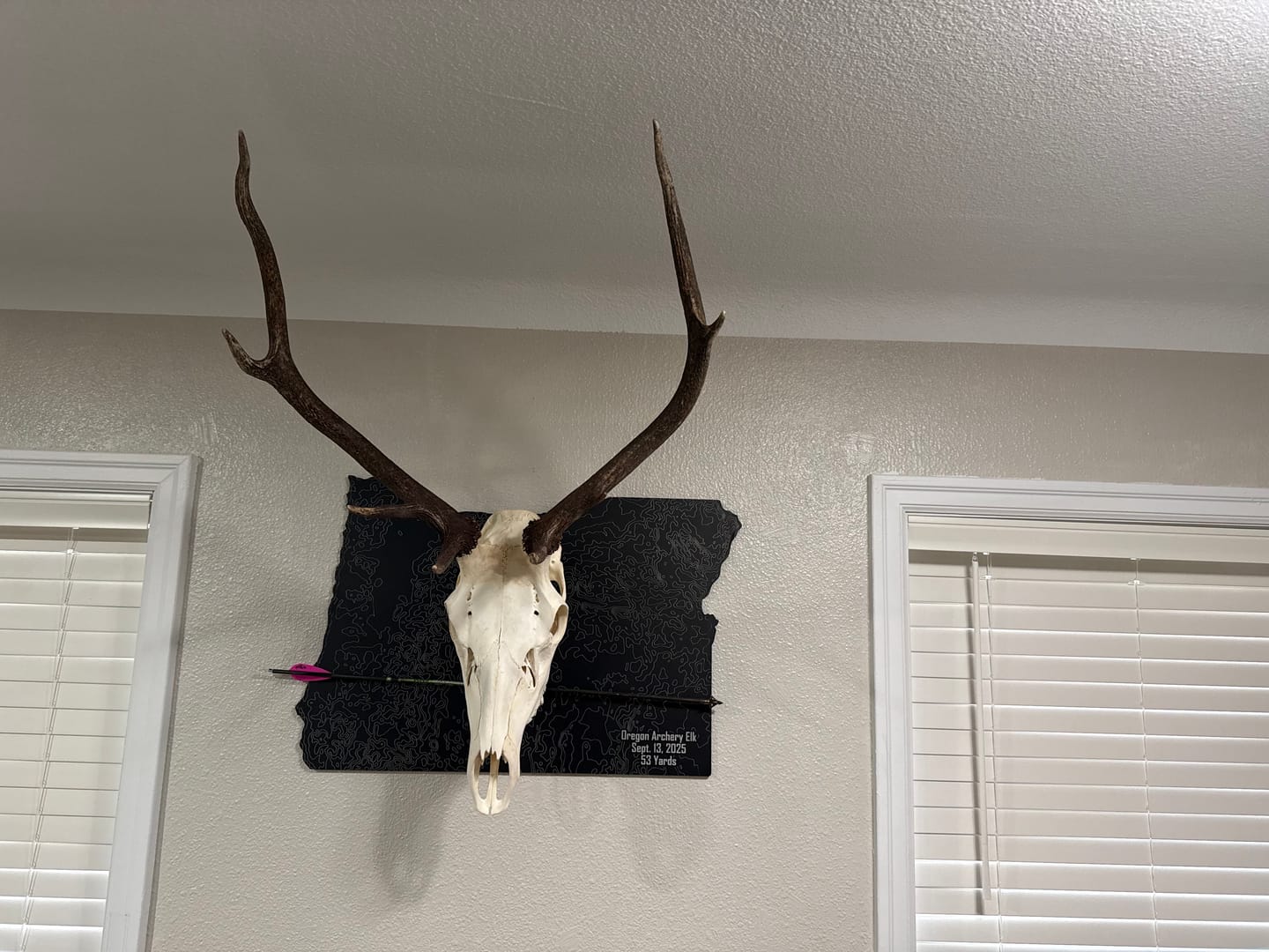 Customer photo review of Large Game Plaque Selections
