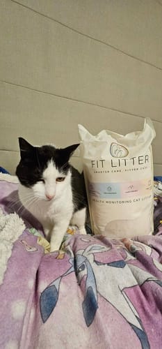 Customer photo review of Fit Litter