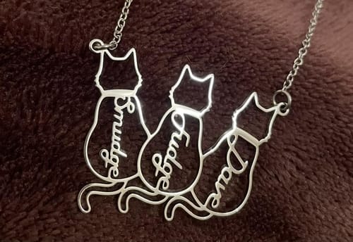 Customer photo review of Collar personalizado con nombre de gato