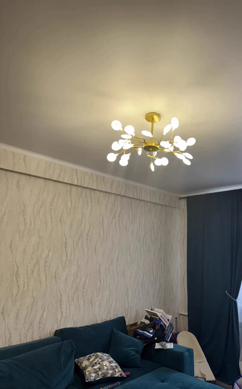 Customer photo review of MIREYA