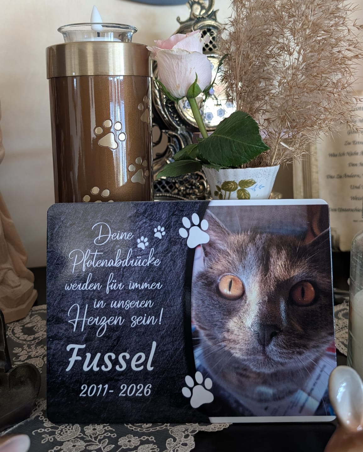 Customer photo review of Katzen Gedenktafel mit Foto & Spruch (UV- & Wetterfest)