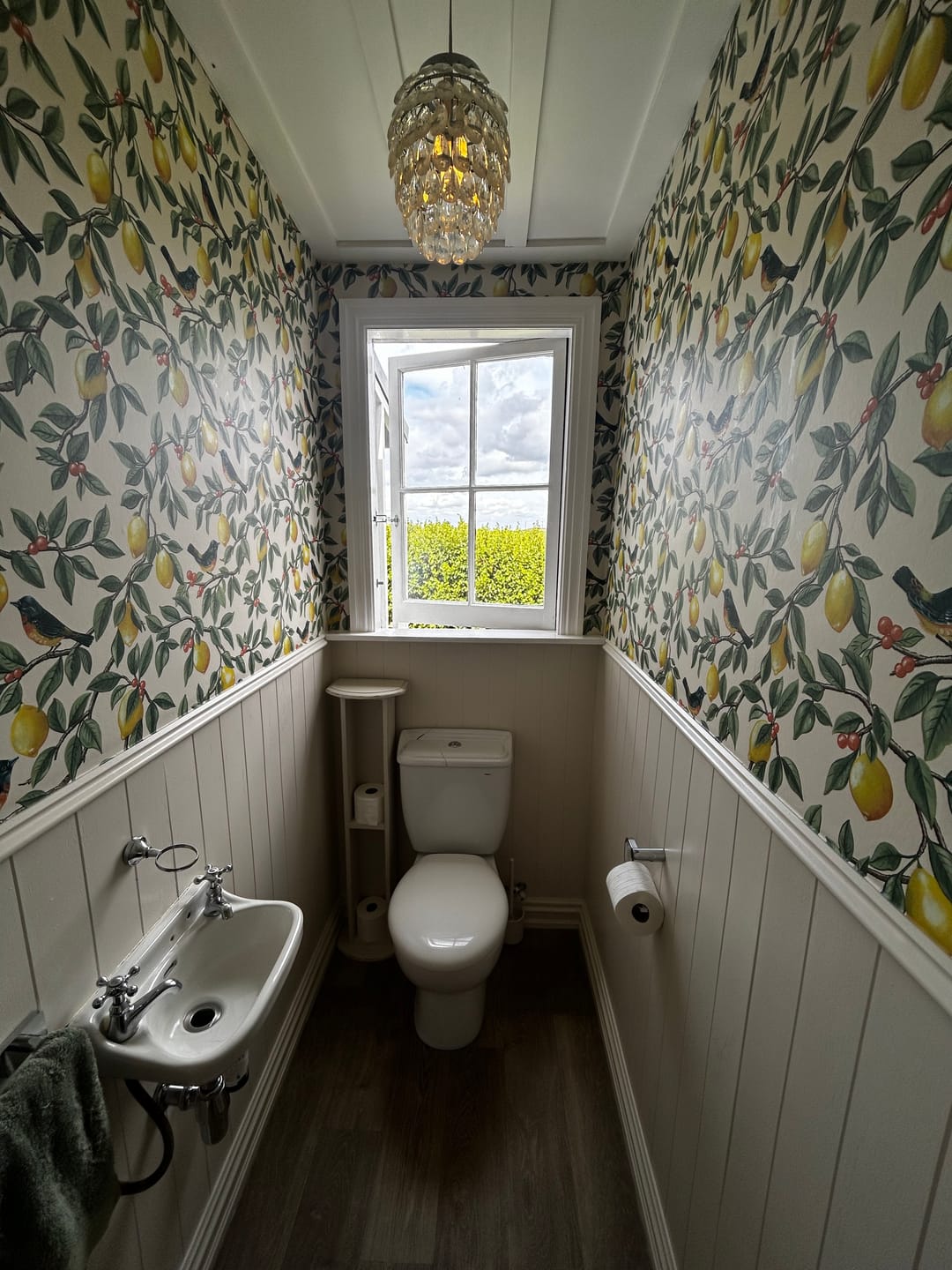 Customer photo review of Ponderosa Bird and Lemon Wallpaper - Cream/Orange