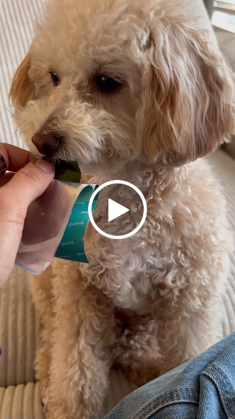 Customer video review of Dental Strips