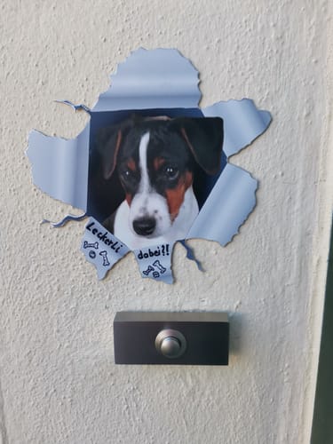Rezensent hat den personalisierten Aufkleber eines spähenden Hundes an einer Hauswand über einer Türklingel angebracht.