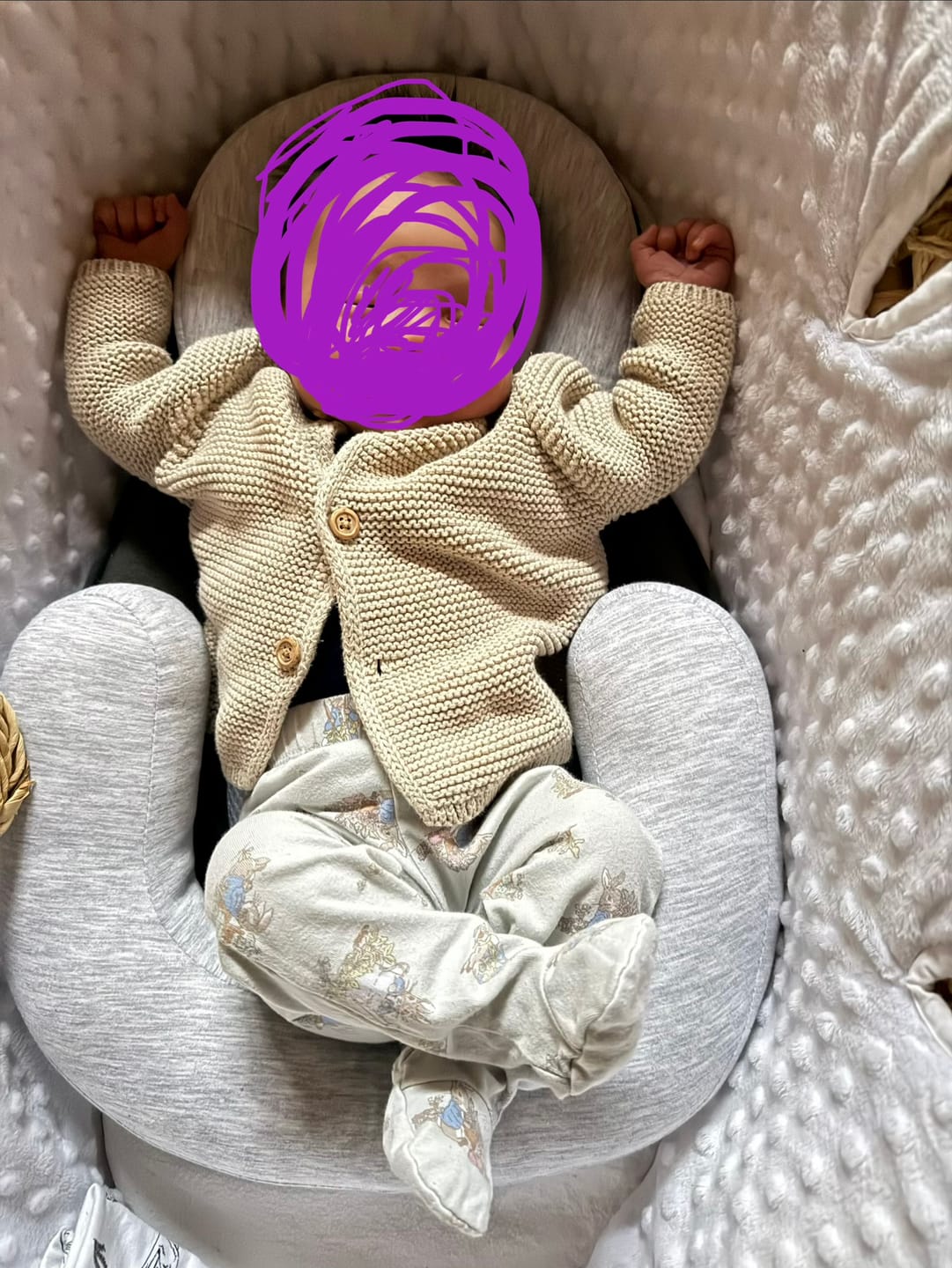 Customer photo review of Baby Bed Pal