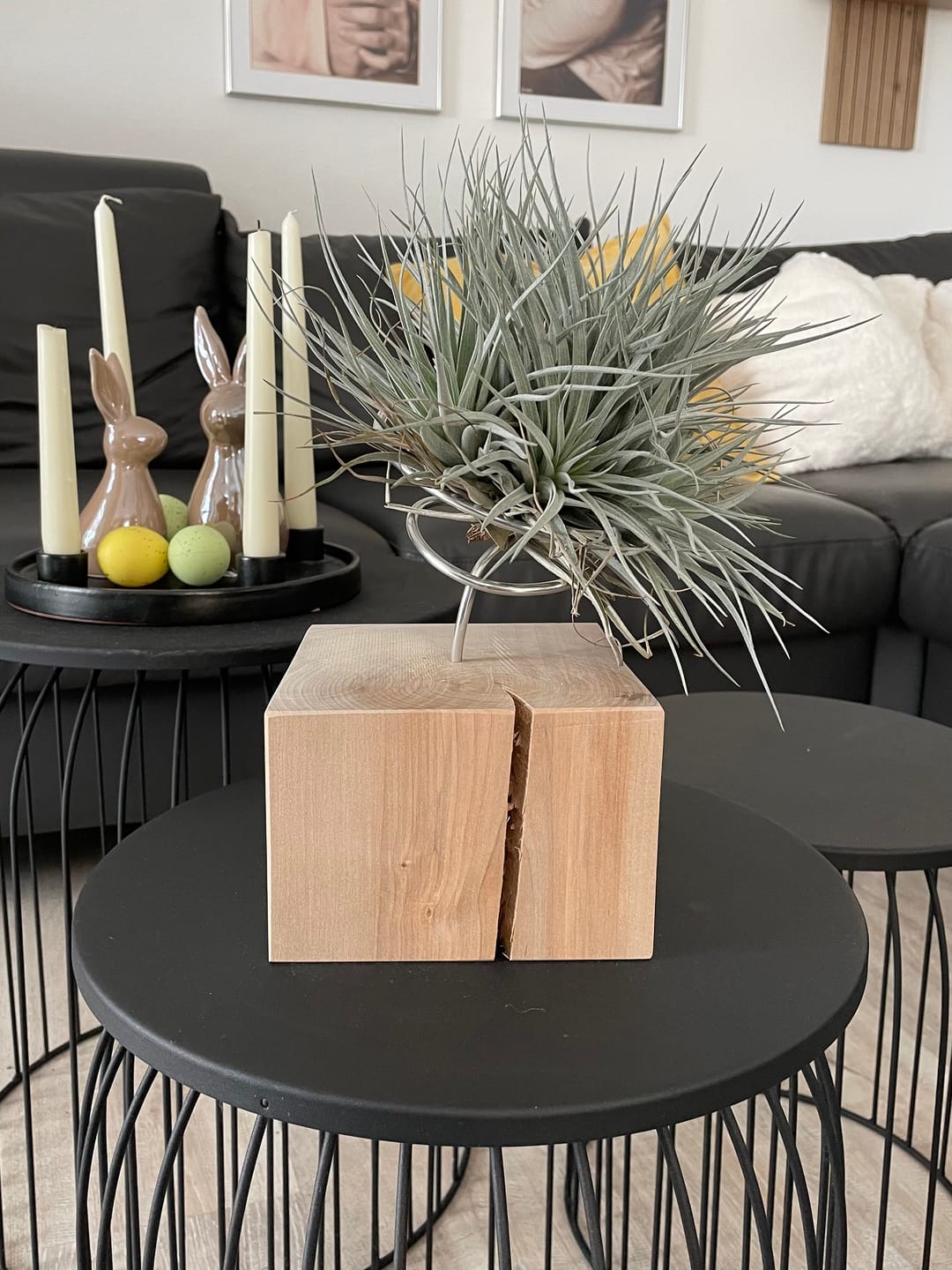 Customer photo review of Tillandsia schiedeana major - Mini Pulk