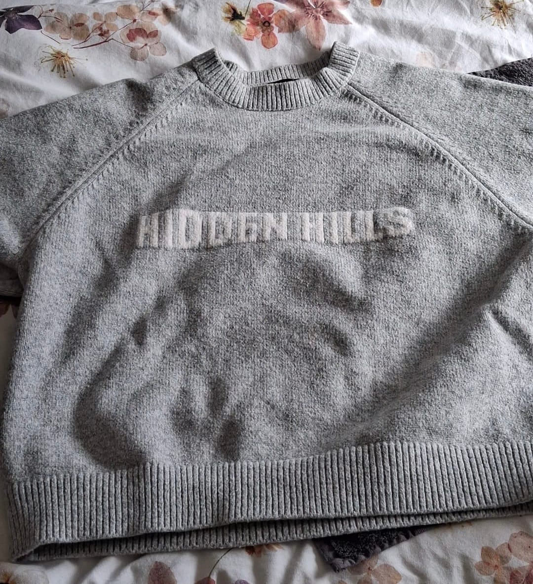 Avis client avec photo sur le PULL EN MAILLE GRIS CLAIR
