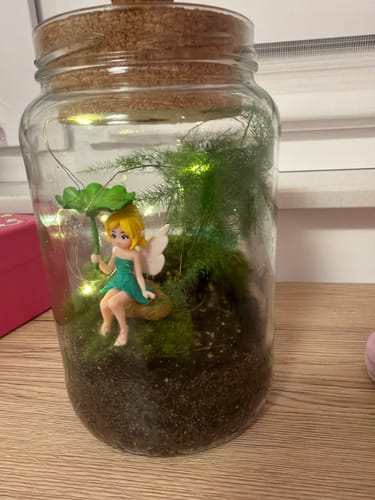 Ein Kunde zeigt den fertigen Flaschengarten mit Moos und einer Fee, der durch den LED-Korken beleuchtet wird.