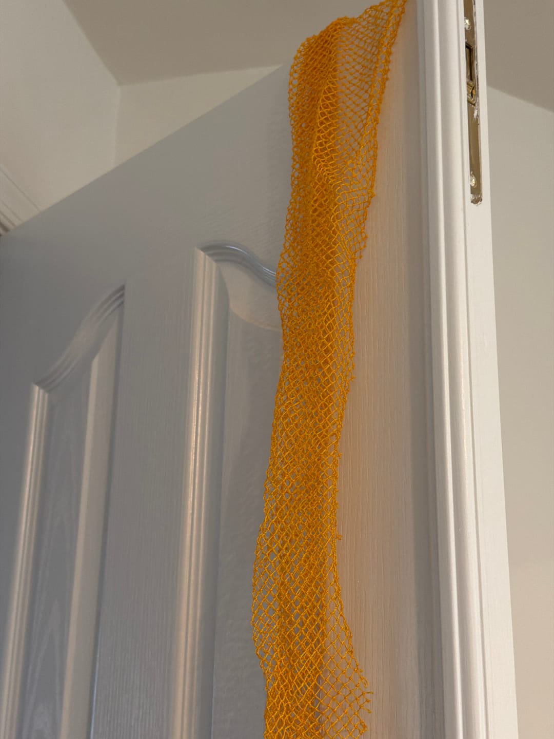 Customer photo review of African Net Sponge