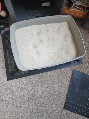 Customer photo review of 1 Month Supply – 1 Cat