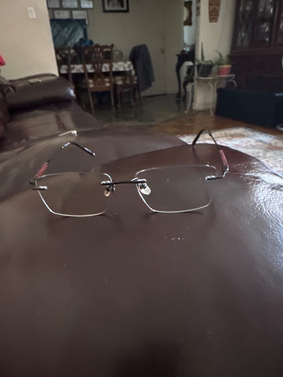 Customer photo review of Hugo | Handmade Wooden Titanium Rimless Eyeglasses | ZanyLen New