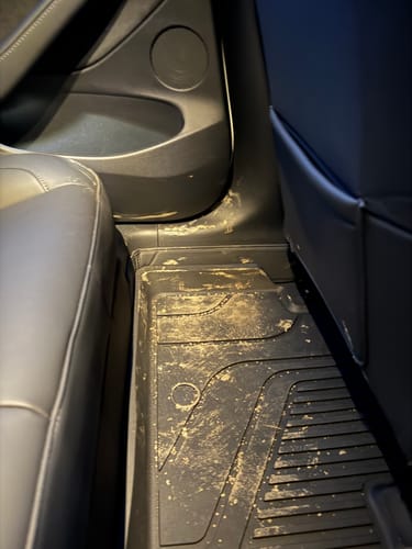 Customer photo review of Model 3/Y Rear Seat Lower Protective Mat (Suitable for 2024+ Model 3 Highland)