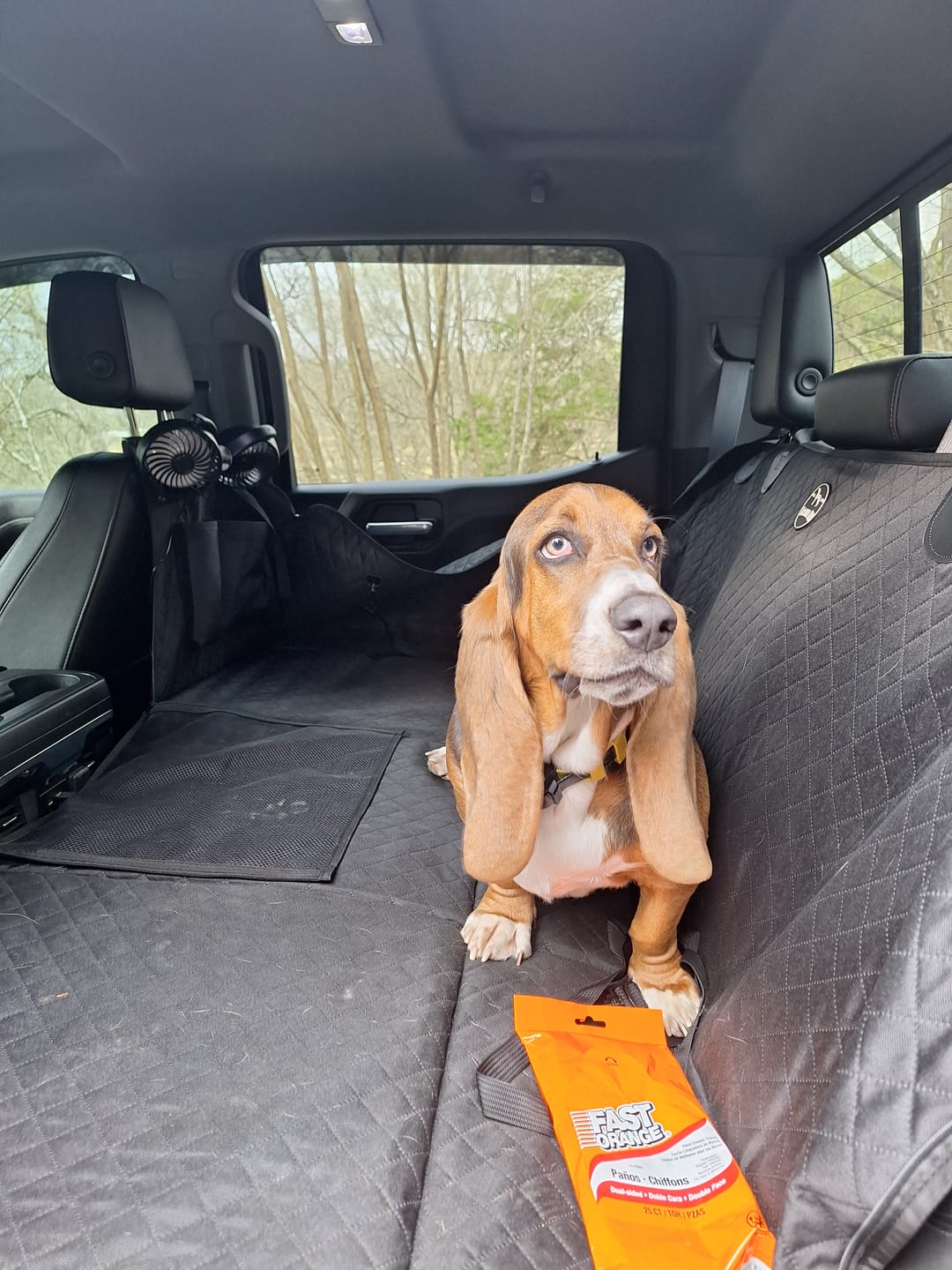 Customer photo review of Adjustable Backseat Dual Cooling Fans