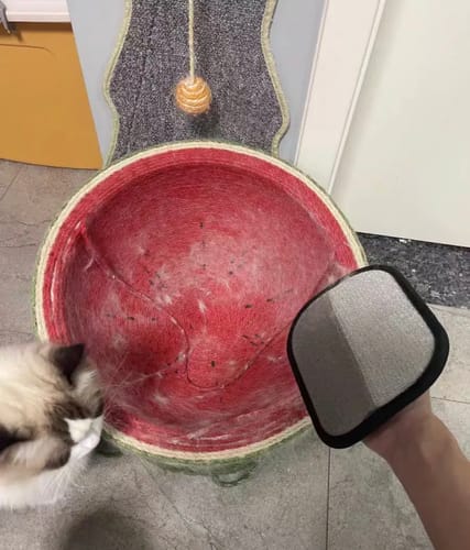 Customer holds the Pet Hair Removal Glove over a round cat bed that is heavily covered in white pet fur.
