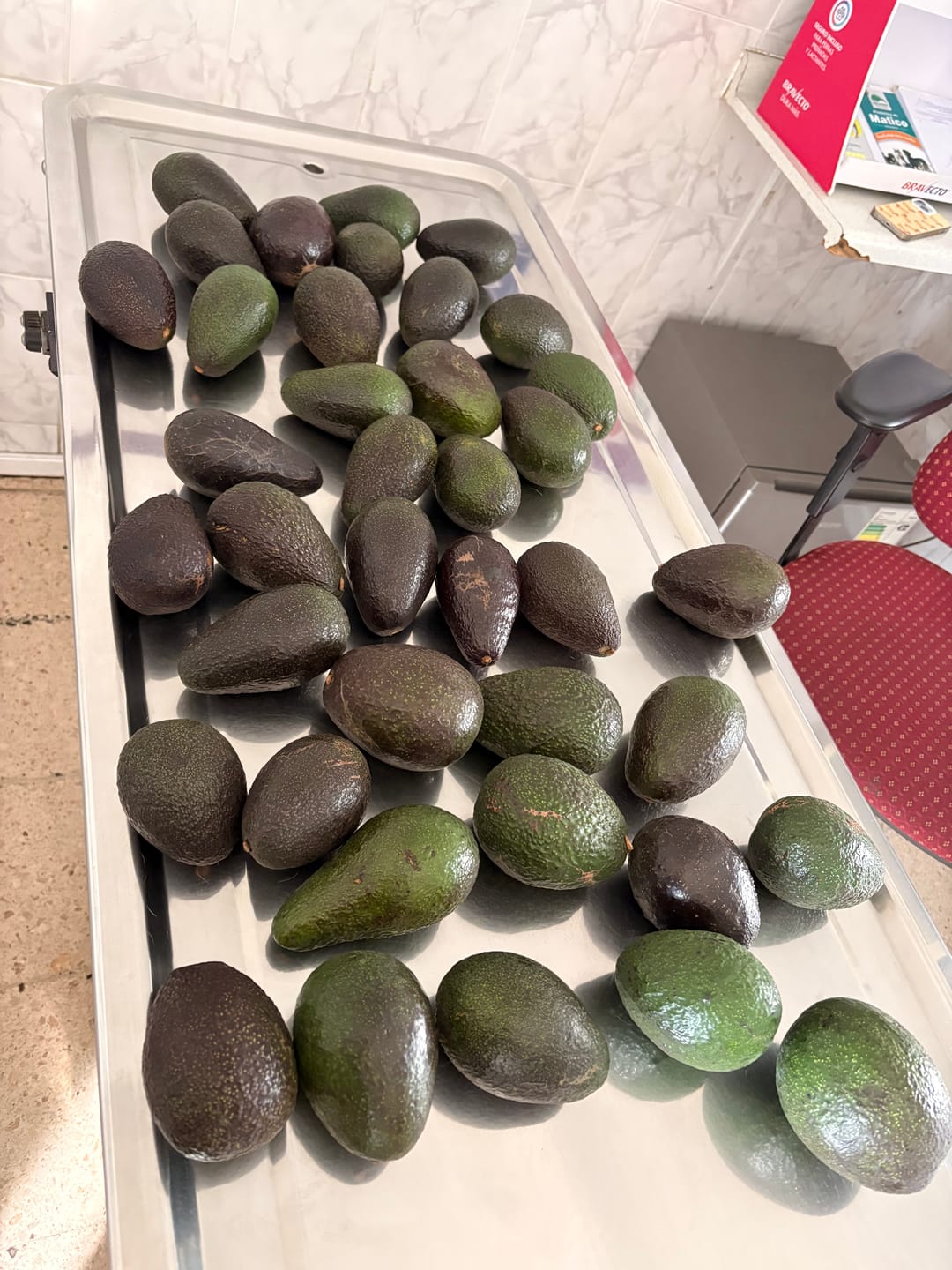 Customer photo review of 10 kg Palta Hass Chilena