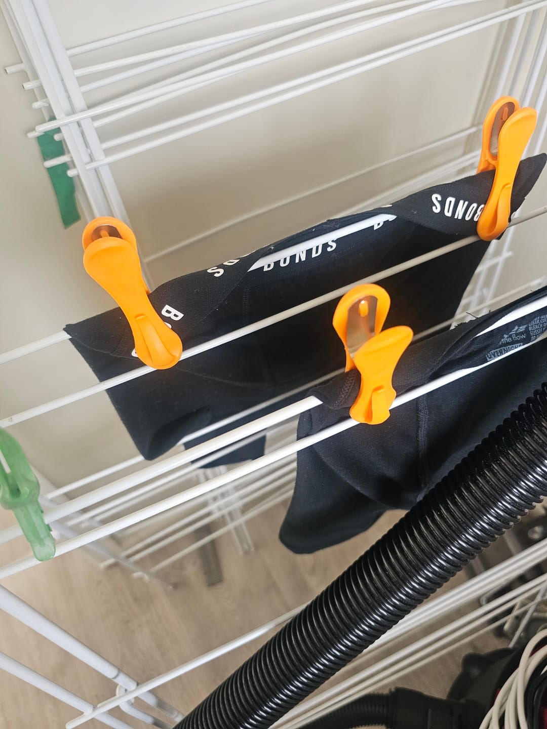Customer photo review of Hegs Pegs 18pk