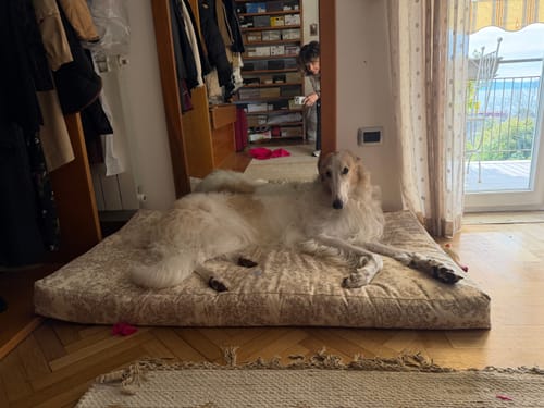 Customer photo review of Materassino Sfoderabile Cotone Premium Toile De Jouy Beige