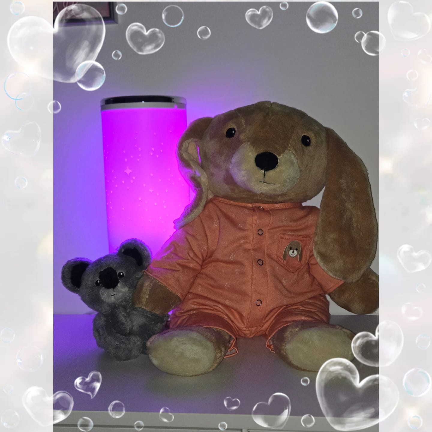 Customer photo review of Mini Lotgenootje Koala