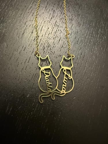 Customer photo review of Collar personalizado con nombre de gato