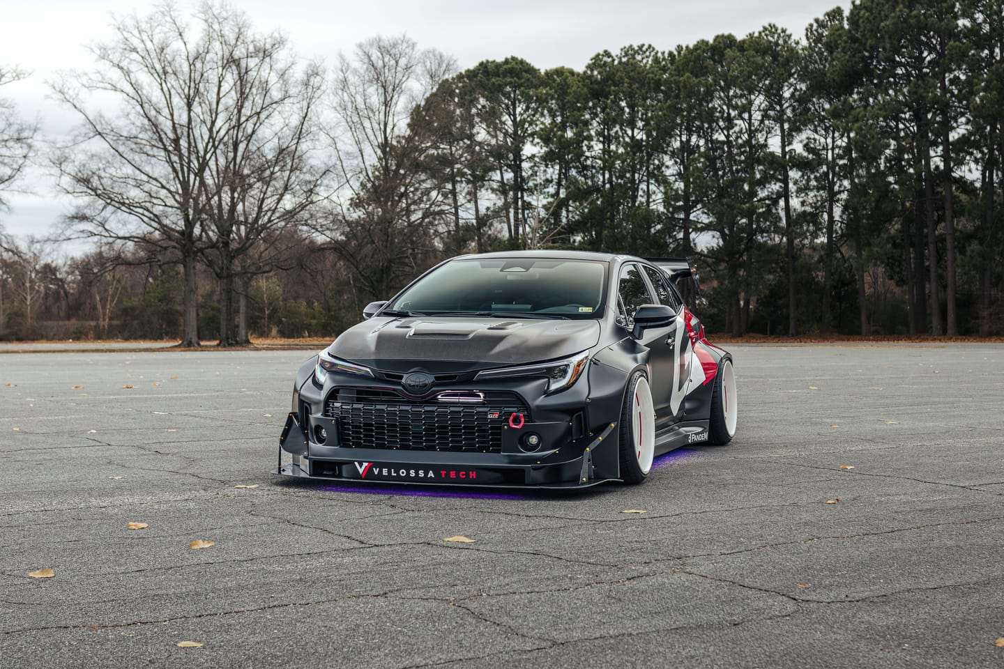 Customer photo review of Ceramic Coating Spray