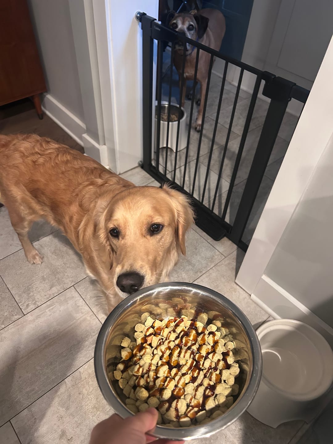 Customer photo review of Golden Gravy
