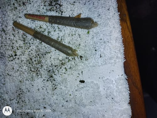 Customer photo review of Sugar Shake - 1oz