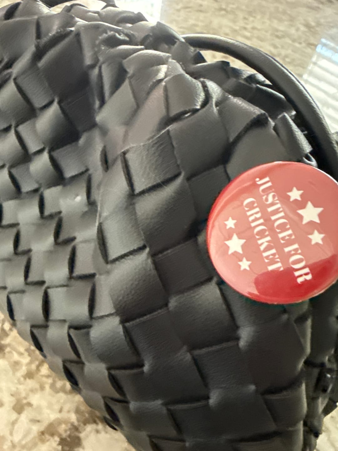 Customer photo review of Justice for Cricket Set of Pins