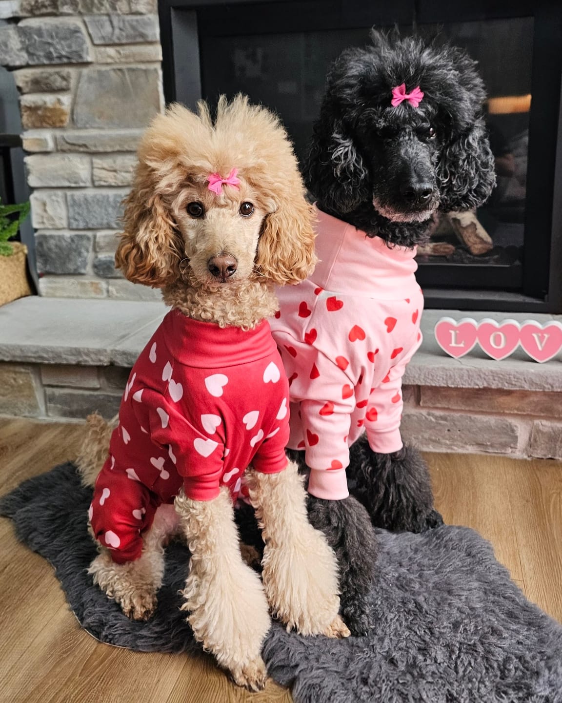 Customer photo review of Dog Pajama - Red Hearts